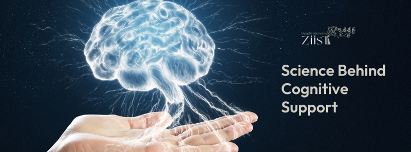 The Science Behind Cognitive Support: How Brainshrooms Mushroom Blend Works