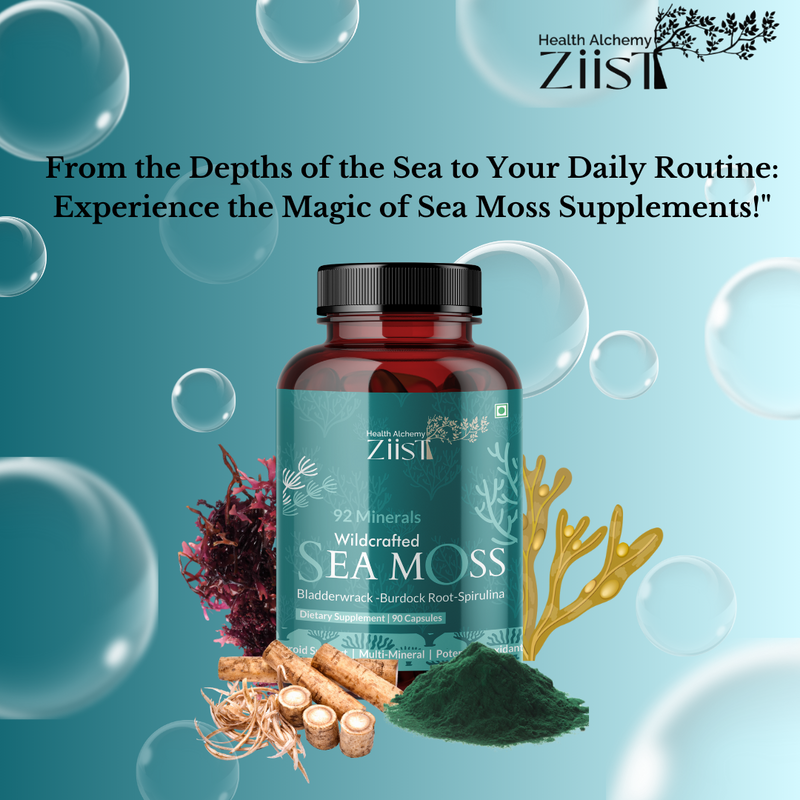 Sea Moss Can Help in Maintaining Your Nutritional Requirements
