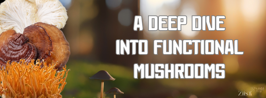 A Deep Dive Into Functional Mushrooms: The Science Behind BrainShrooms