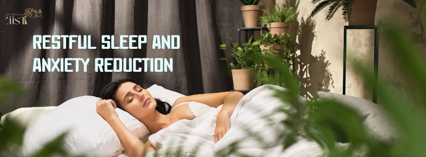 How Magnolia Bark Supports Restful Sleep and Anxiety Reduction