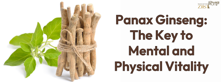 Panax Ginseng: The Key to Mental and Physical Vitality