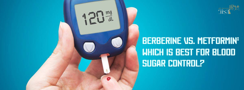Berberine vs. Metformin: Which Is Best for Blood Sugar Control?