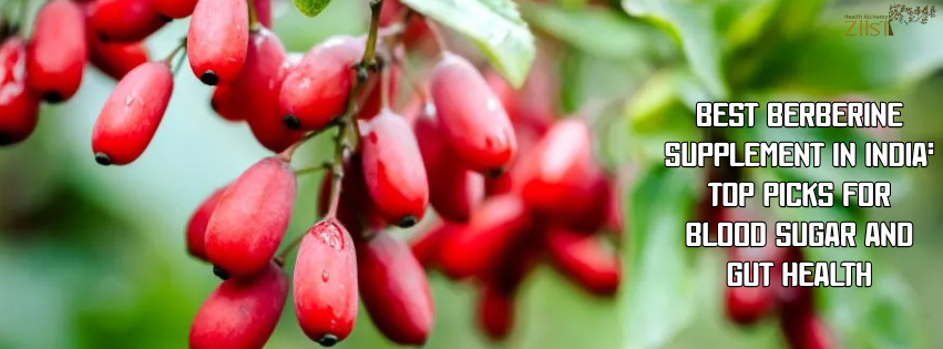 Best Berberine Supplement in India: Top Picks for Blood Sugar and Gut Health