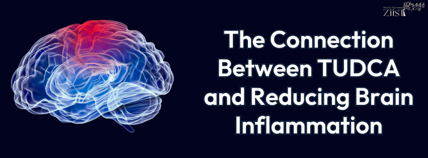 The Connection Between TUDCA and Reducing Brain Inflammation