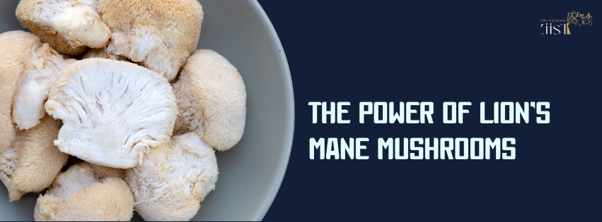 Boost Your Brain: The Power of Lion’s Mane Mushrooms