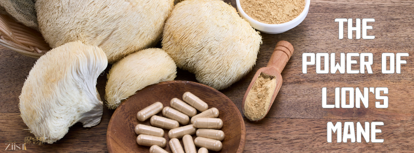 The Power of Lion’s Mane: Enhancing Cognitive Function and Memory