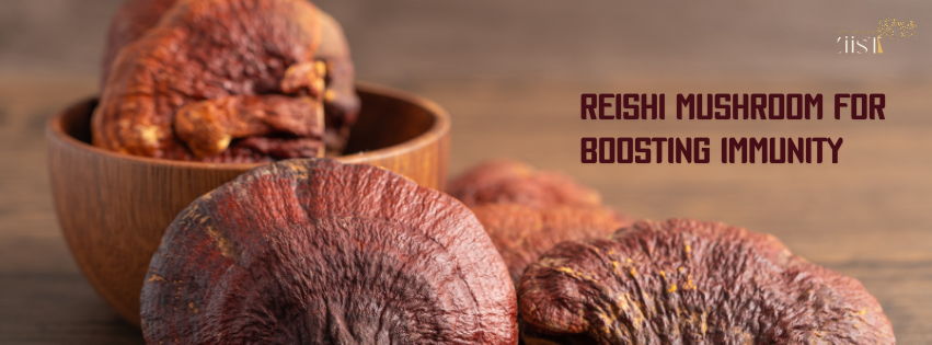 Reishi Mushroom: Boosting Immunity and Cognitive Power Naturally