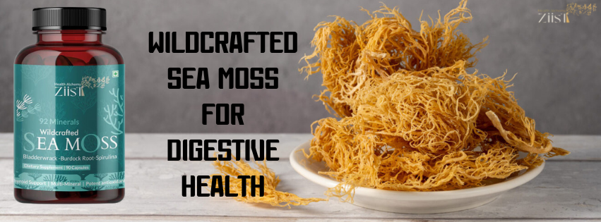 Wildcrafted Sea Moss for Digestive Health: A Natural Way to Boost Your Gut
