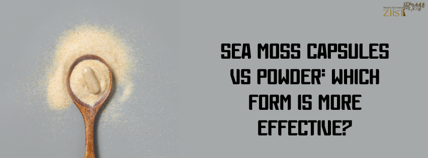 Sea Moss Capsules vs Powder: Which Form Is More Effective?