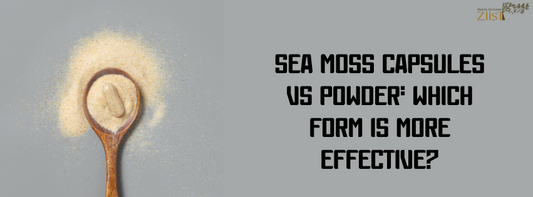 Sea Moss Capsules vs Powder: Which Form Is More Effective?