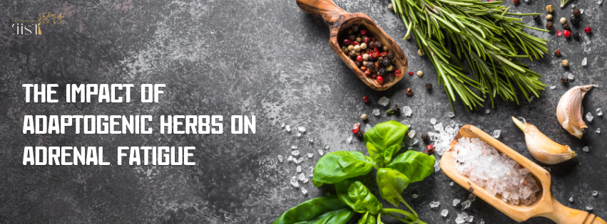 The Impact of Adaptogenic Herbs on Adrenal Fatigue