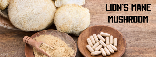 Why Lion’s Mane Mushroom is Gaining Popularity in India?