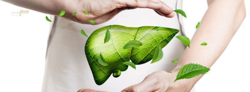 Top 10 Natural Remedies for Liver Health