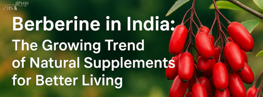 Berberine in India: The Growing Trend of Natural Supplements for Better Living