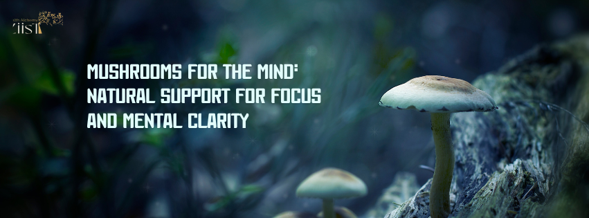 Mushrooms for the Mind: Natural Support for Focus and Mental Clarity