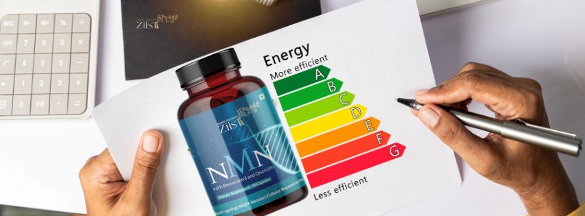 How NMN Supplements Can Boost Your Energy Levels
