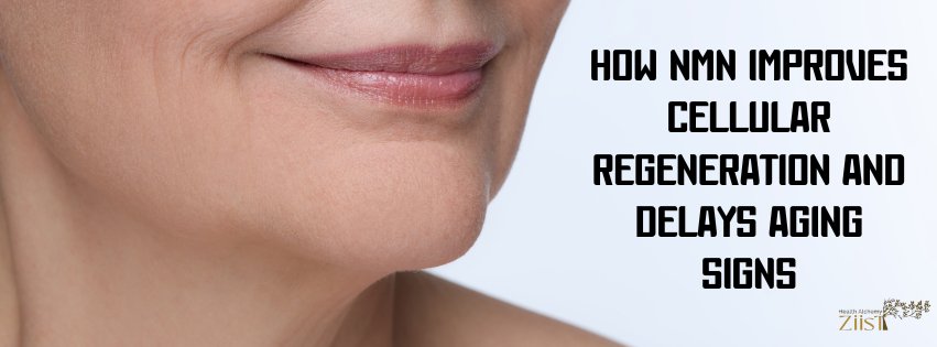 How NMN Improves Cellular Regeneration and Delays Aging Signs
