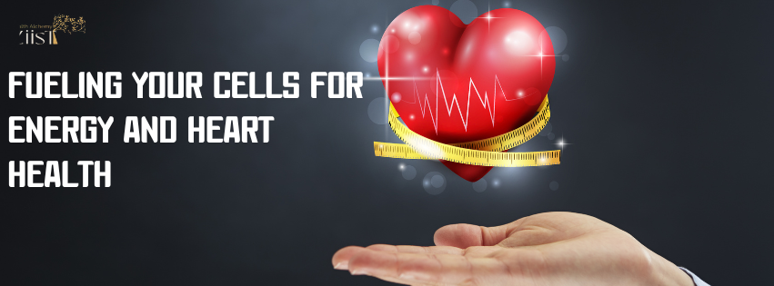 Fueling Your Cells for Energy and Heart Health