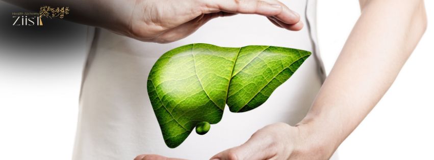 Ziist Fatty Liver Remedy Capsules