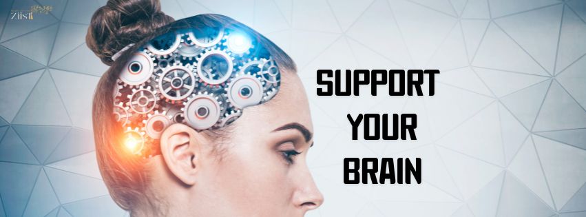 Boost Your Memory with Brain Support Supplements