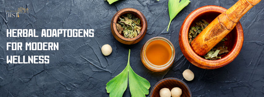 Herbal Adaptogens for Modern Wellness: What You Need to Know