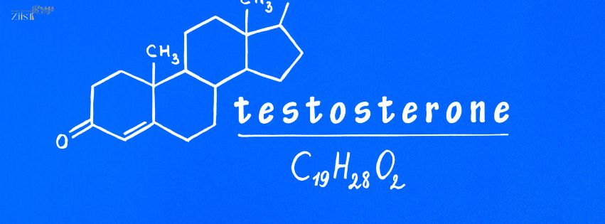 Natural Testosterone Boosters for Men Over 40