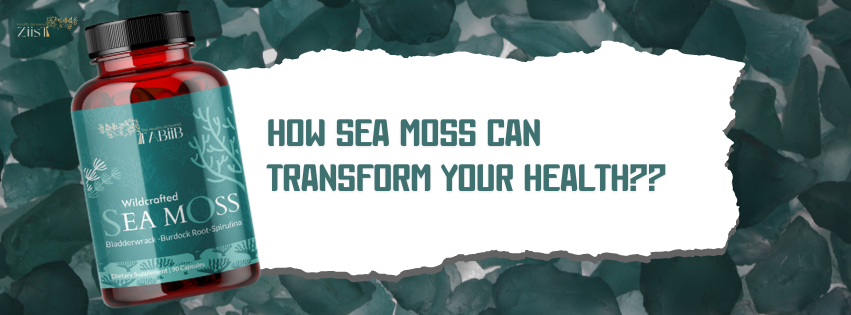 How Sea Moss Can Transform Your Health: Nutritional Benefits