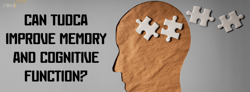 Can TUDCA Improve Memory and Cognitive Function?