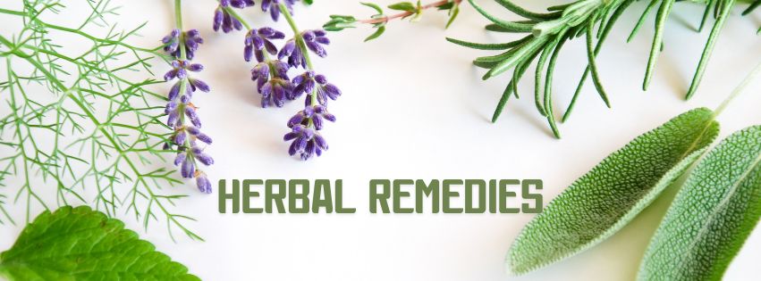 Herbal Remedies: Natural Alternatives for Health