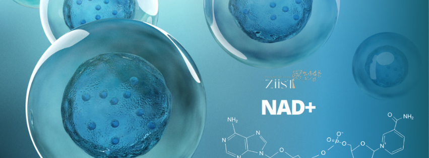The Science Behind NAD+ Boosting