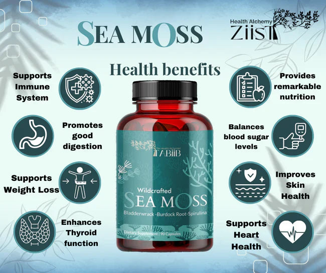 Unveiling the Health Wonders of Irish Sea Moss