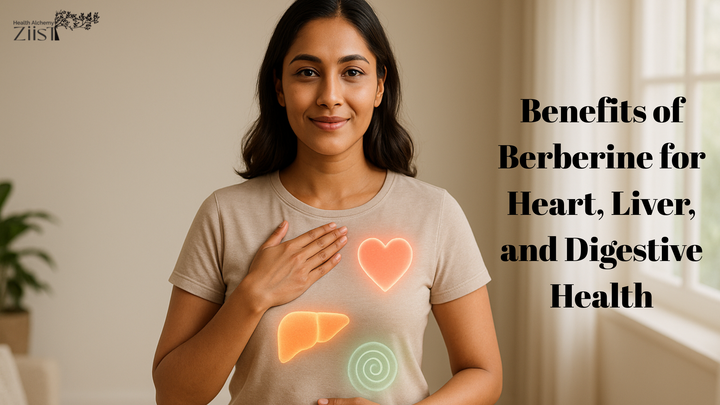 Benefits of Berberine for Heart, Liver, and Digestive Health