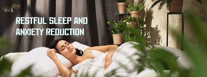 How Magnolia Bark Supports Restful Sleep and Anxiety Reduction