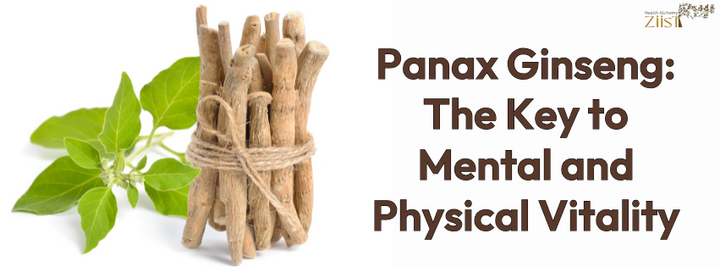 Panax Ginseng: The Key to Mental and Physical Vitality