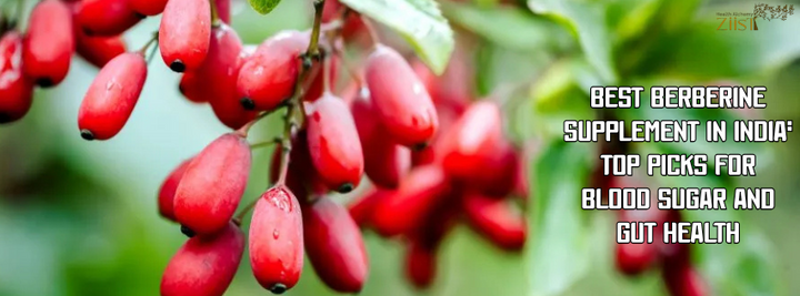 Best Berberine Supplement in India: Top Picks for Blood Sugar and Gut Health