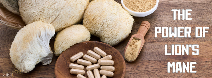 The Power of Lion’s Mane: Enhancing Cognitive Function and Memory