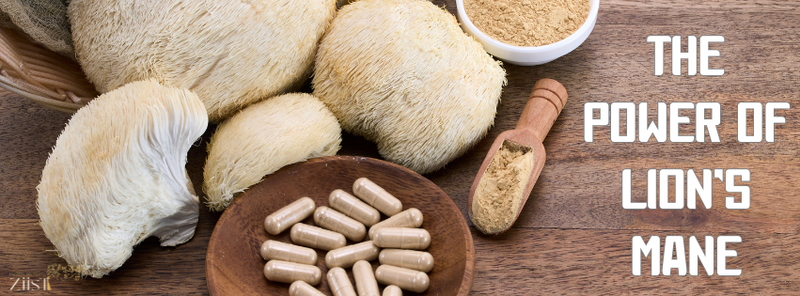 The Power of Lion’s Mane: Enhancing Cognitive Function and Memory