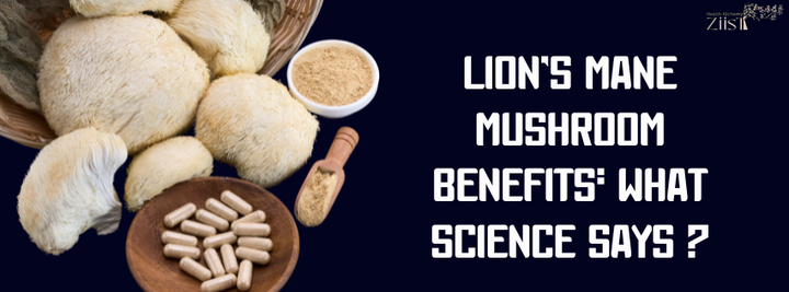 Lion’s Mane Mushroom Benefits: What Science Says ?