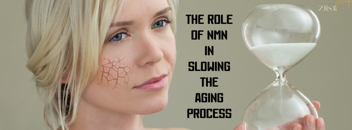 The Role of NMN in Slowing the Aging Process: A Deep Dive Into Science
