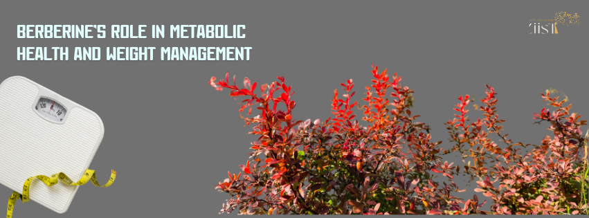 Berberine’s Role in Metabolic Health and Weight Management