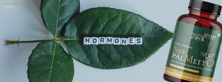 Hormonal Balance with Saw Palmetto: Benefits for Men and Women