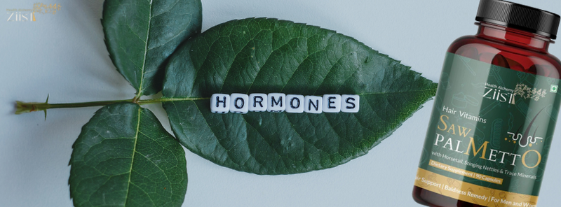 Hormonal Balance with Saw Palmetto: Benefits for Men and Women