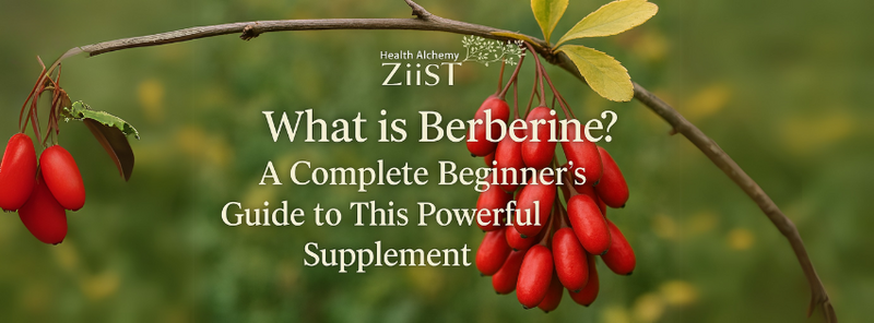 What is Berberine? A Complete Beginner's Guide to This Powerful Supplement  In the world of natural supple
