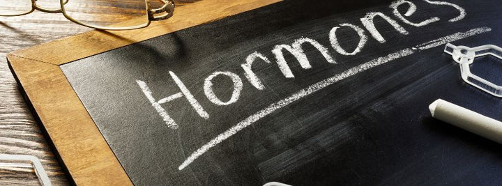 Top Supplements for Men’s Health and Hormone Support