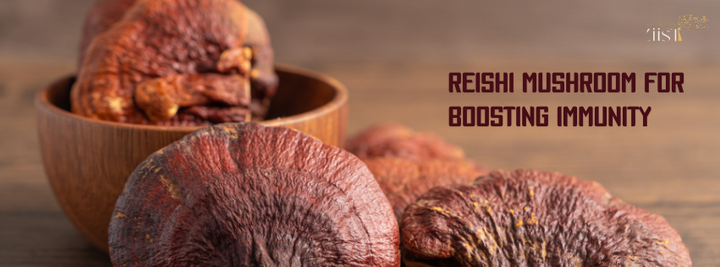 Reishi Mushroom: Boosting Immunity and Cognitive Power Naturally