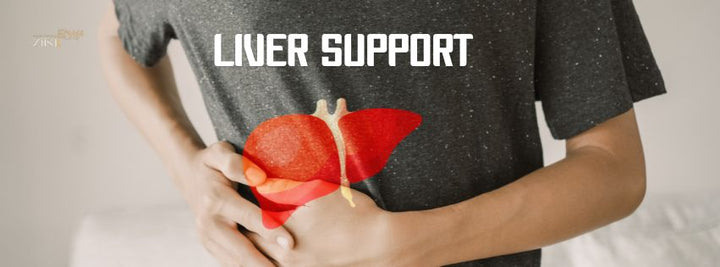 Liver Support Supplements: Best Options for Detox and Health