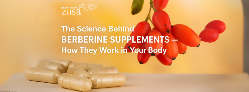 The Science Behind Berberine Supplements — How They Work in Your Body
