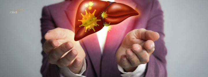 Best Liver Care Supplements for Long-Term Health