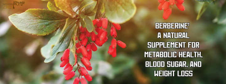 Berberine: A Natural Supplement for Metabolic Health, Blood Sugar, and Weight Loss