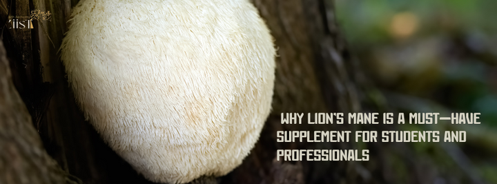 Why Lion’s Mane is a Must-Have Supplement for Students and Professionals